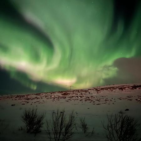 Leilighet I Vadsø Dış mekan fotoğraf