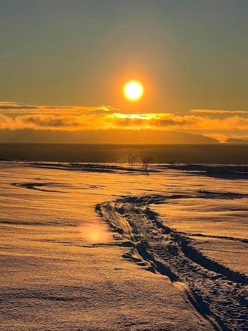 Leilighet I Vadsø Dış mekan fotoğraf