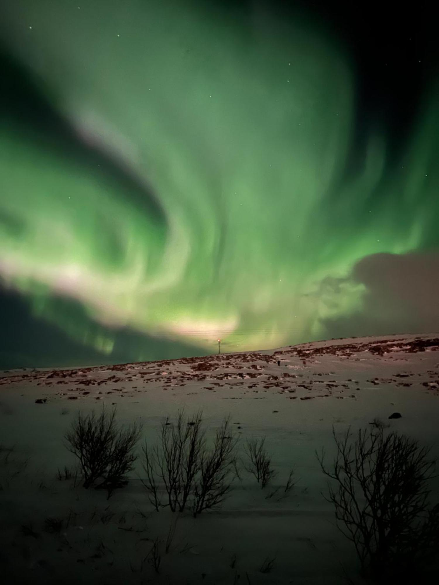 Leilighet I Vadsø Dış mekan fotoğraf